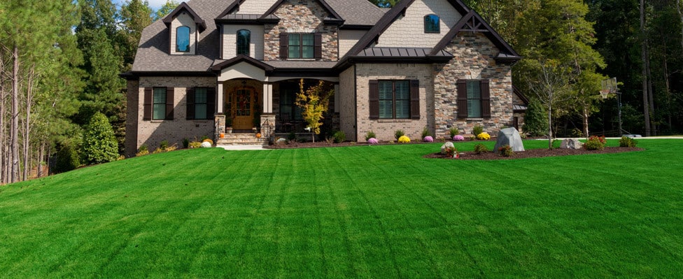 High quality weed control, fertilizing and lawn care services in Ellicott City & Howard County, MD.