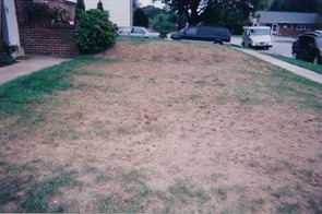 Grass Before Fertilizing and Lawn Care Services in Howard County MD