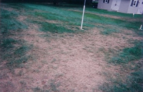 Before- Fertilizing and Lawn Care Services in Howard County and Ellicott City MD
